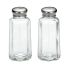 Salt Or Pepper Paneled Glass 2oz (60ml) Shaker [Single]