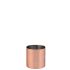 Copper Thimble Measure 25ml CA 