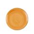 Churchill Stonecast Tangerine Coupe Plate 11.25