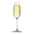 Ocean Madison Champagne Flute 7.4oz (210ml) - Box of 6