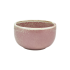 Terra Porcelain Rose Pink Round Bowl 11.5x5.5cm (360ml) - Pack of 6