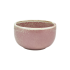 Terra Porcelain Rose Pink Round Bowl 12.5x6.5cm (500ml) - Pack of 6
